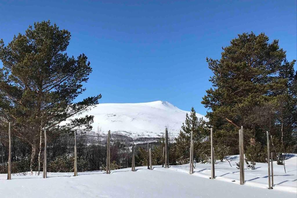 Fjellro Mountain Cabin Oppdal Exterior foto